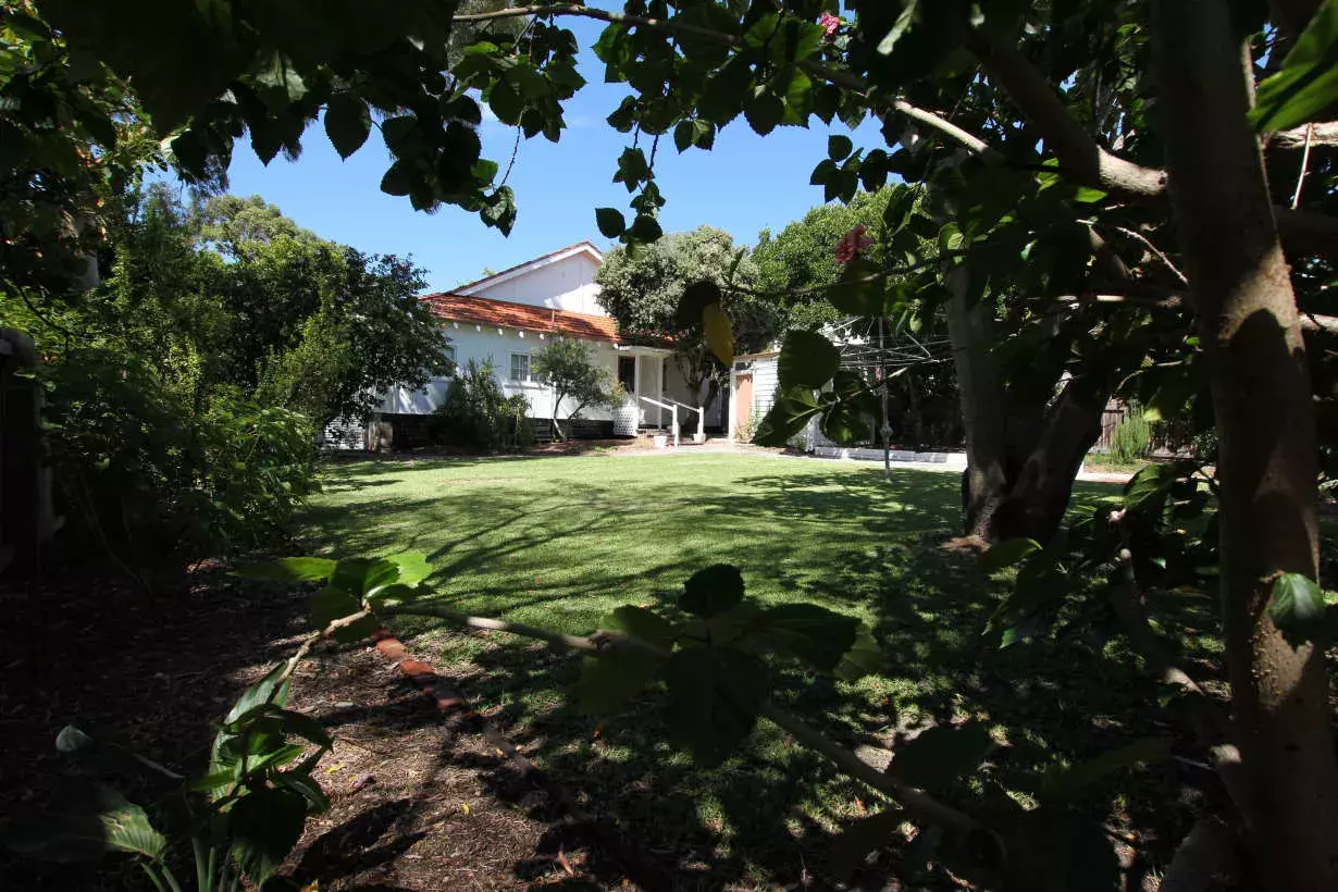 A large green lawn with big shady trees is the backyard to a white house with red roof. 