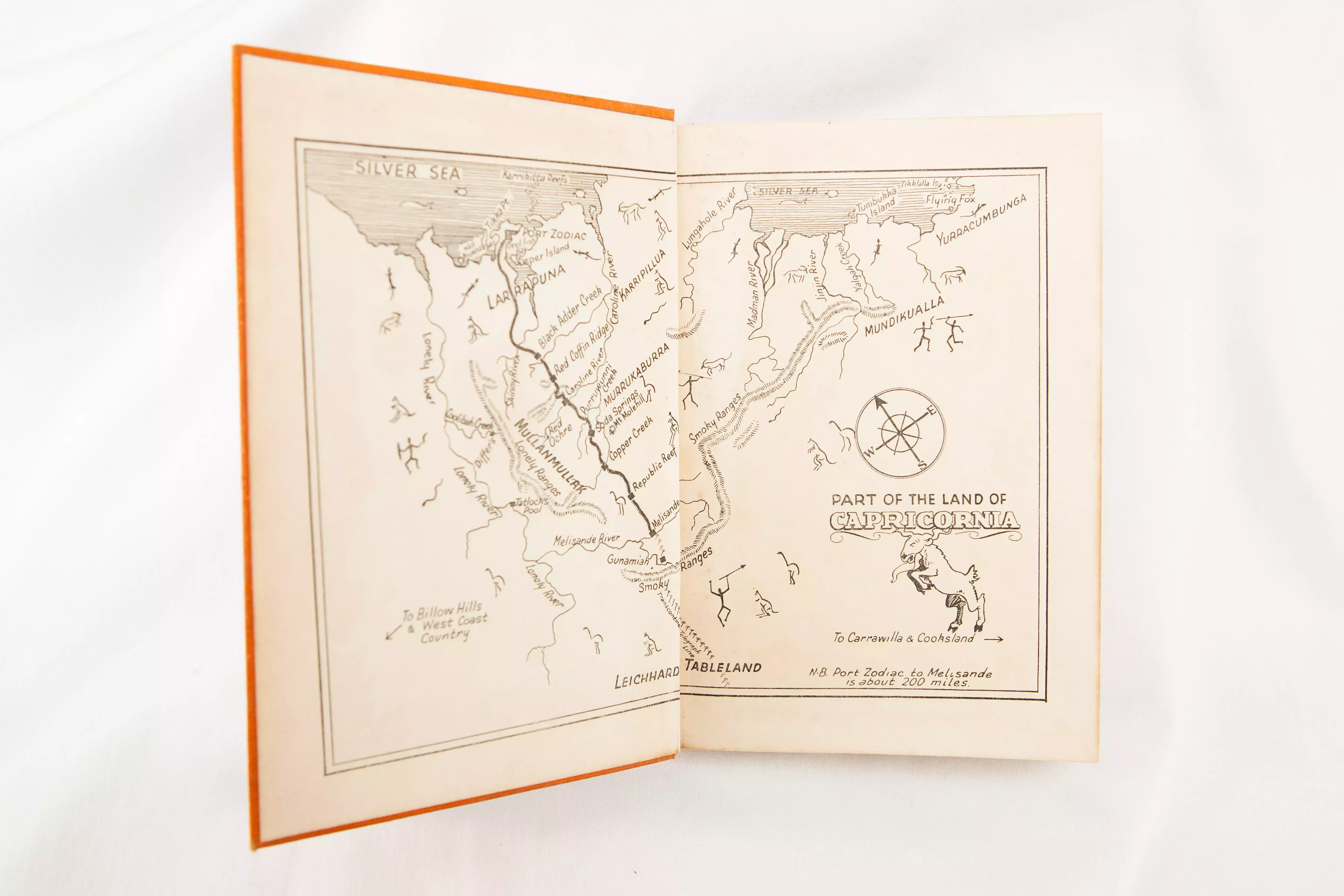 The inside of a book featuring a brown drawn map 