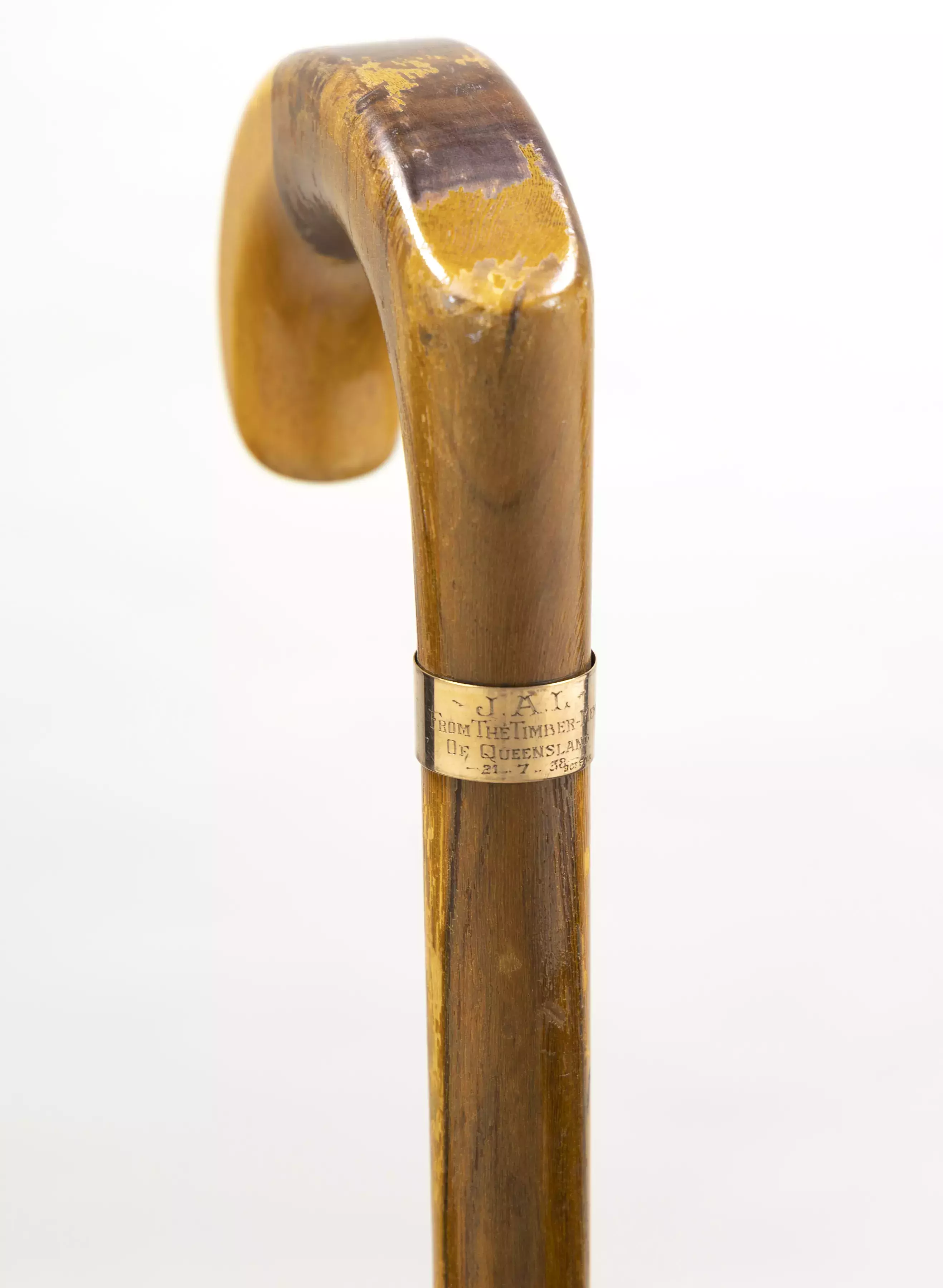 A close up view of the top of Lyons' walking stick showing a metal label inscribed with 'Timber Men of Queensland'.